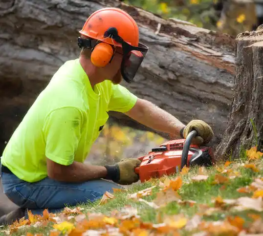 tree services Chesapeake